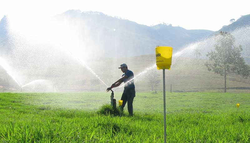 Irrigação de pastagens grande aliada para evitar pastagens degradadas